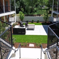 Turf Grass Alpine, California Rooftop, Dogs