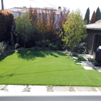 Turf Grass Bostonia, California City Landscape, Backyards