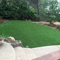 Turf Grass Eucalyptus Hills, California Home And Garden, Backyards