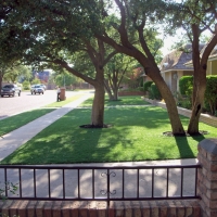 Turf Grass Rancho San Diego, California Landscape Photos, Front Yard