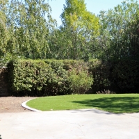 Turf Grass Valley Center, California Landscaping, Backyard Landscaping