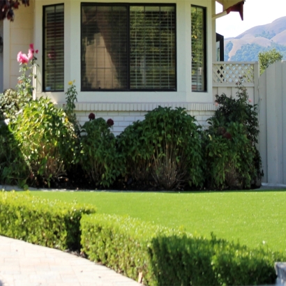 Artificial Grass Campo, California Gardeners, Landscaping Ideas For Front Yard