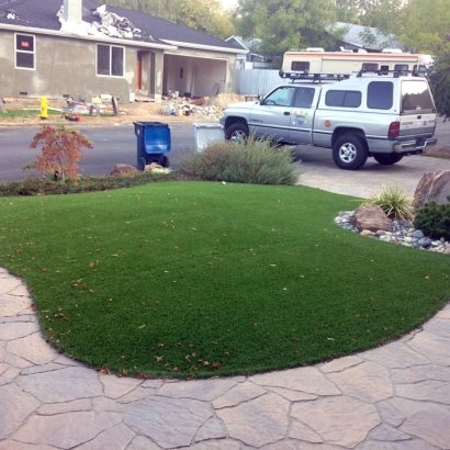 Artificial Grass Carpet Eucalyptus Hills, California Landscape Photos, Front Yard Landscaping Ideas