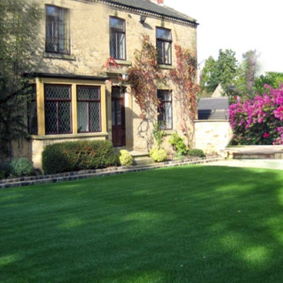 Artificial Grass Carpet Lake San Marcos, California Landscape Ideas, Front Yard