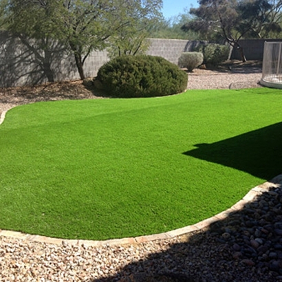 Artificial Grass Carpet Poway, California Landscaping, Backyard Ideas