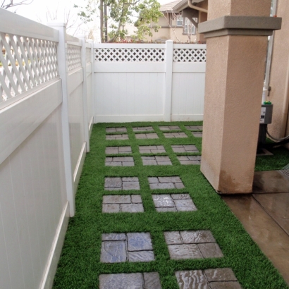 Artificial Grass Carpet San Pasqual, California Paver Patio, Backyard Landscaping Ideas