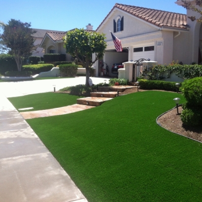 Artificial Grass Chula Vista, California Landscaping Business, Landscaping Ideas For Front Yard