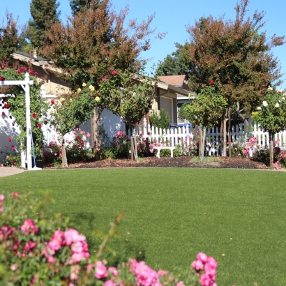 Artificial Grass Granite Hills, California Lawn And Landscape, Front Yard Landscaping