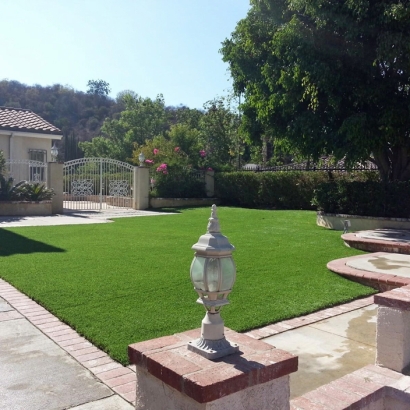 Artificial Grass Imperial Beach, California Garden Ideas, Front Yard Ideas