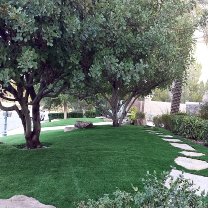 Artificial Grass La Jolla, California Landscape Photos, Front Yard Landscape Ideas