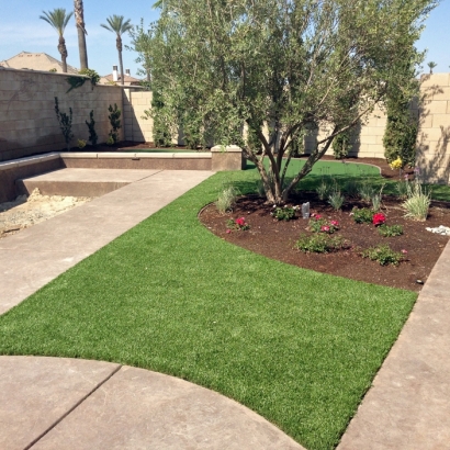 Artificial Grass Niland, California City Landscape, Landscaping Ideas For Front Yard