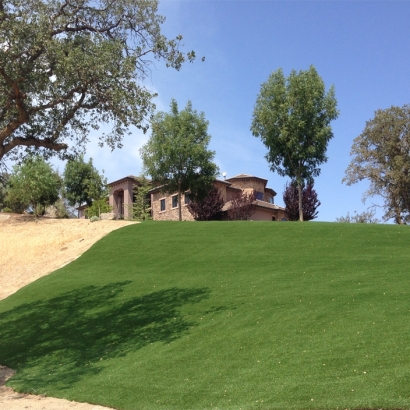 Artificial Grass Potrero, California Landscaping Business, Front Yard Landscaping