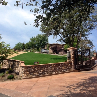 Artificial Lawn Granite Hills, California Lawns, Small Front Yard Landscaping