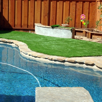 Artificial Lawn Potrero, California Landscape Design, Small Backyard Ideas