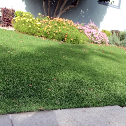 Artificial Turf Cost Imperial, California City Landscape, Front Yard