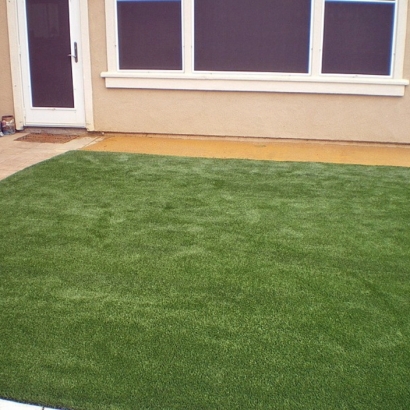 Artificial Turf Cost Lakeside, California Garden Ideas, Backyard