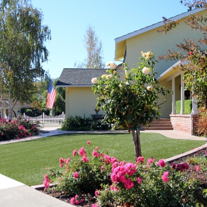 Artificial Turf Desert Shores, California Landscape Photos, Front Yard