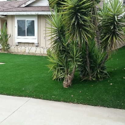 Artificial Turf Escondido, California Gardeners, Front Yard