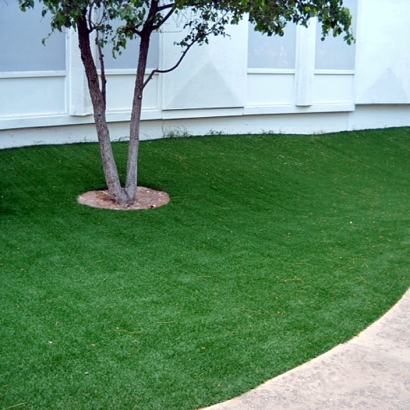 Artificial Turf Installation Casa de Oro-Mount Helix, California Landscaping, Commercial Landscape