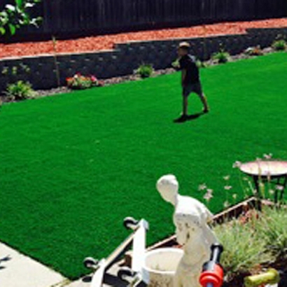 Artificial Turf Installation Eucalyptus Hills, California Roof Top, Backyard Design