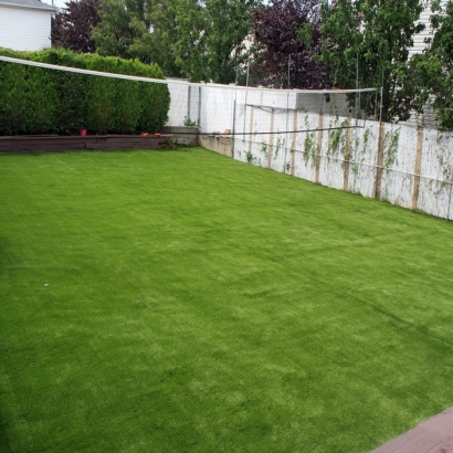 Artificial Turf Installation Potrero, California Rooftop, Backyard Makeover