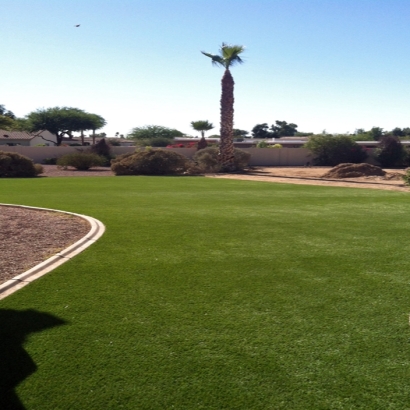 Artificial Turf La Jolla, California Landscape Rock, Backyard