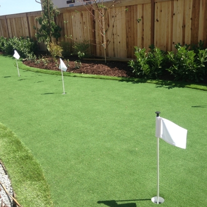 Artificial Turf National City, California Design Ideas, Backyard Landscaping