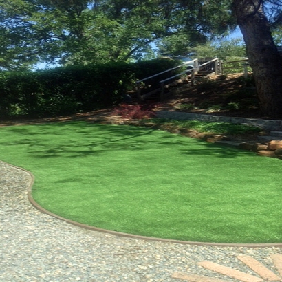 Artificial Turf Salton City, California Landscaping Business, Backyard Landscaping