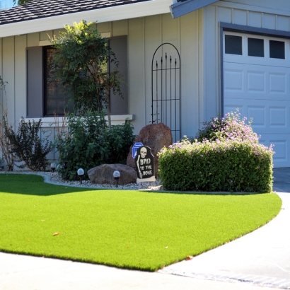 Best Artificial Grass Fallbrook, California Lawns, Front Yard Landscaping Ideas