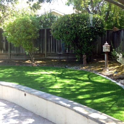 Best Artificial Grass National City, California Backyard Deck Ideas, Commercial Landscape