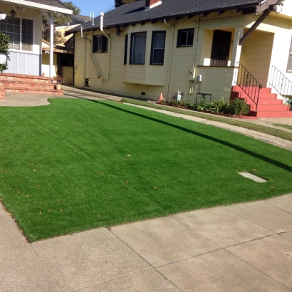 Fake Grass Carpet Campo, California Garden Ideas, Front Yard