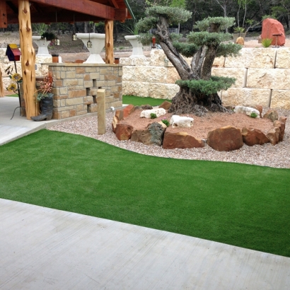 Fake Grass Carpet Coronado, California Lawn And Garden, Backyard Landscape Ideas