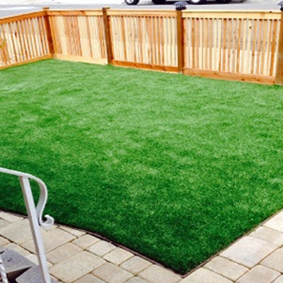 Fake Grass Carpet Lake San Marcos, California Lawns, Backyard Makeover