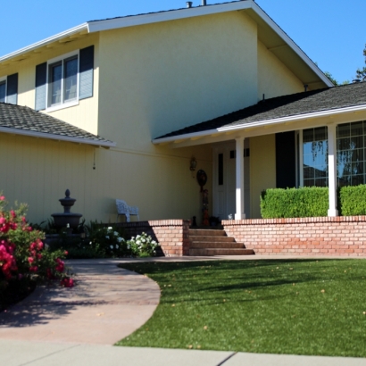 Fake Grass Carpet Oceanside, California Landscape Photos, Front Yard