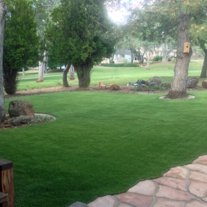 Fake Grass El Cajon, California Gardeners, Front Yard Design