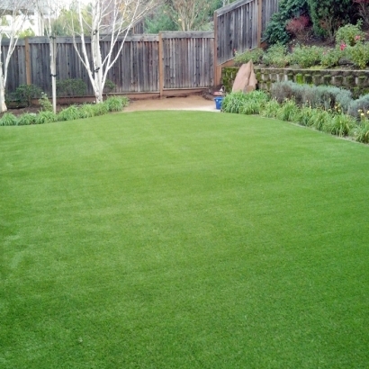 Fake Grass Jamul, California Backyard Deck Ideas, Backyard Design