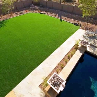 Fake Grass San Diego, California Garden Ideas, Backyard Makeover