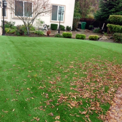 Fake Lawn Coronado, California Roof Top, Backyard