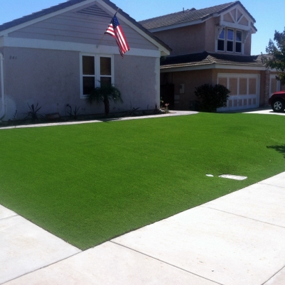 Fake Lawn Holtville, California Lawns, Front Yard Landscaping Ideas