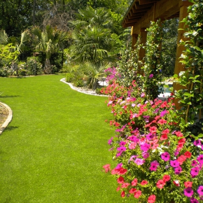 Fake Lawn La Jolla, California Landscape Rock, Backyard Landscaping Ideas