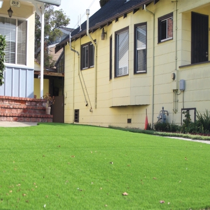 Fake Turf Eucalyptus Hills, California Home And Garden, Front Yard Landscape Ideas