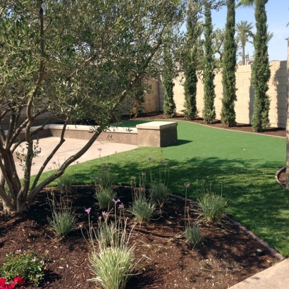 Fake Turf La Presa, California Garden Ideas, Backyard Makeover