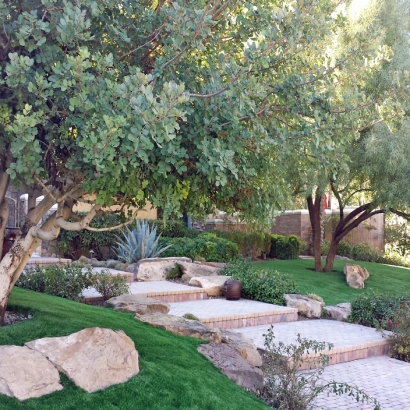 Fake Turf La Presa, California Roof Top, Small Backyard Ideas