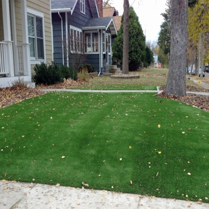 Fake Turf Lakeside, California Landscaping Business, Front Yard Design