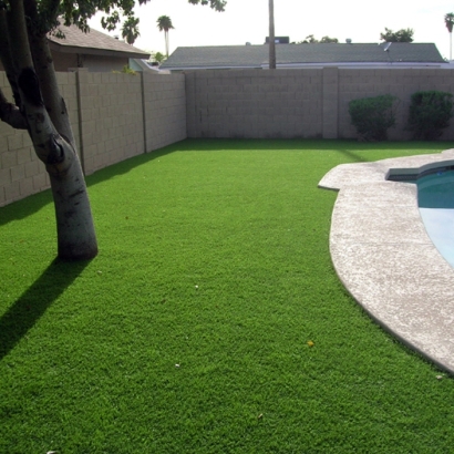 Fake Turf Niland, California Landscape Rock, Backyard Landscape Ideas