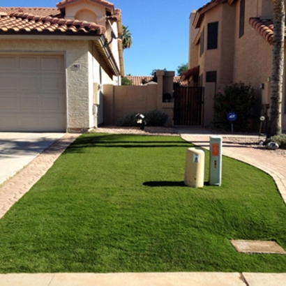 Fake Turf Santee, California Landscaping, Front Yard Design