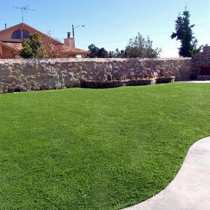 Faux Grass Bostonia, California Roof Top, Backyard Landscape Ideas