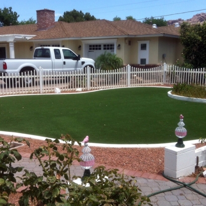 Faux Grass Poway, California Landscape Design, Front Yard Landscape Ideas