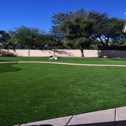 Grass Carpet Bostonia, California Gardeners, Small Front Yard Landscaping