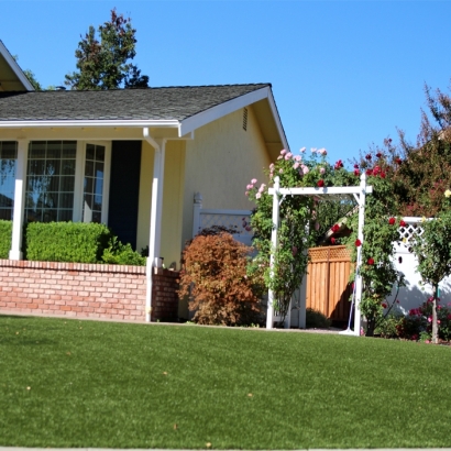 Grass Carpet Fairbanks Ranch, California Backyard Playground, Front Yard